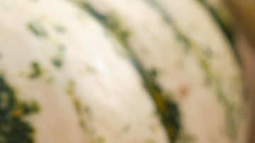 Aceite de semilla de calabaza para el cabello: beneficios y cómo usarlo en el pelo