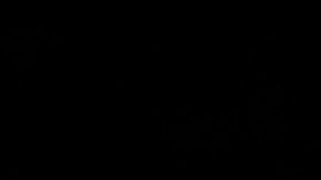 Kendall Jenner y Bad Bunny