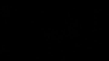 Kendall Jenner y Bad Bunny