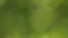 Meghan Markle utilizó unas arracadas de Amazon que puedes comprar por $22 dólares