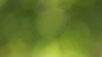 Meghan Markle utilizó unas arracadas de Amazon que puedes comprar por $22 dólares