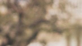 9 botas clásicas a la rodilla que combinan con todo y puedes comprar desde $30 dólares