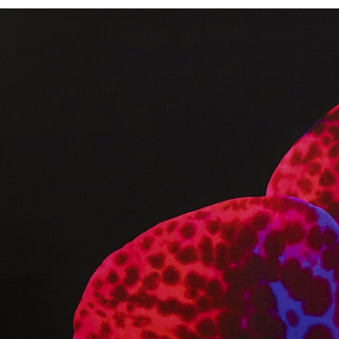 5 perfumes con notas de café perfectos para otoño 2023 que te dejarán un aroma cremoso