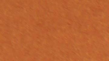 6 deliciosos perfumes con notas de ámbar que te transportarán a una cabaña llena de lujo