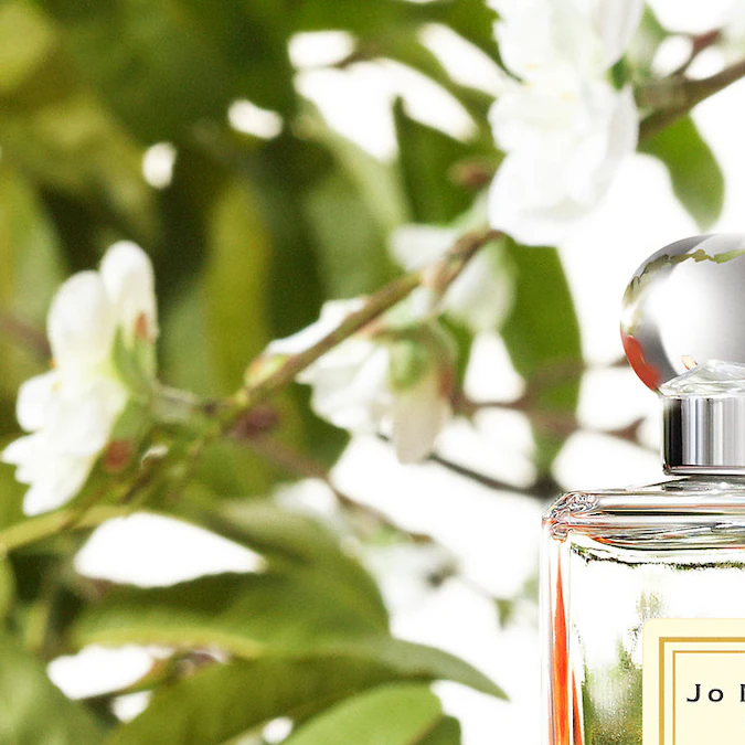 5 perfumes con notas de durazno que te dejarán un aroma fresco e irresistible