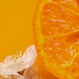 7 perfumes con notas de flor de naranja que te dejarán un aroma fresco y atractivo