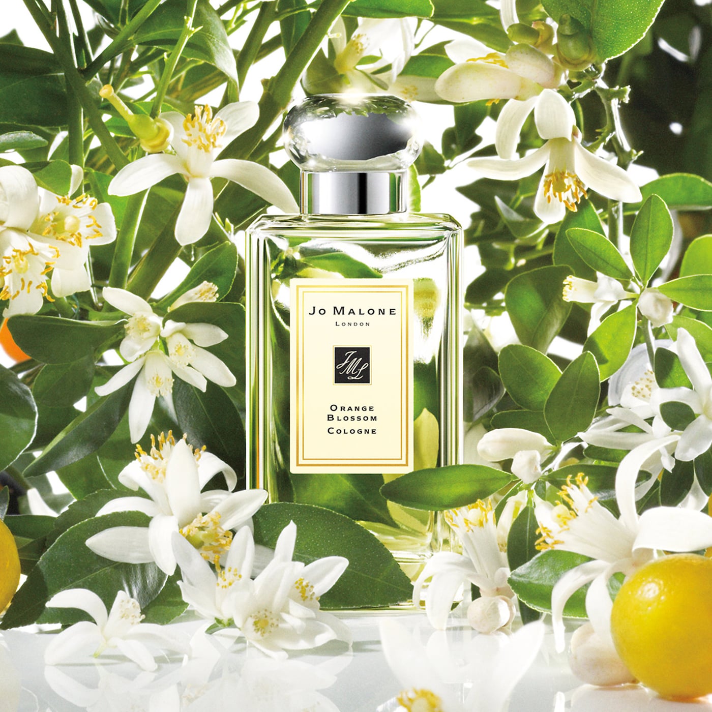 7 perfumes con notas de flor de naranja que te dejarán un aroma fresco y atractivo