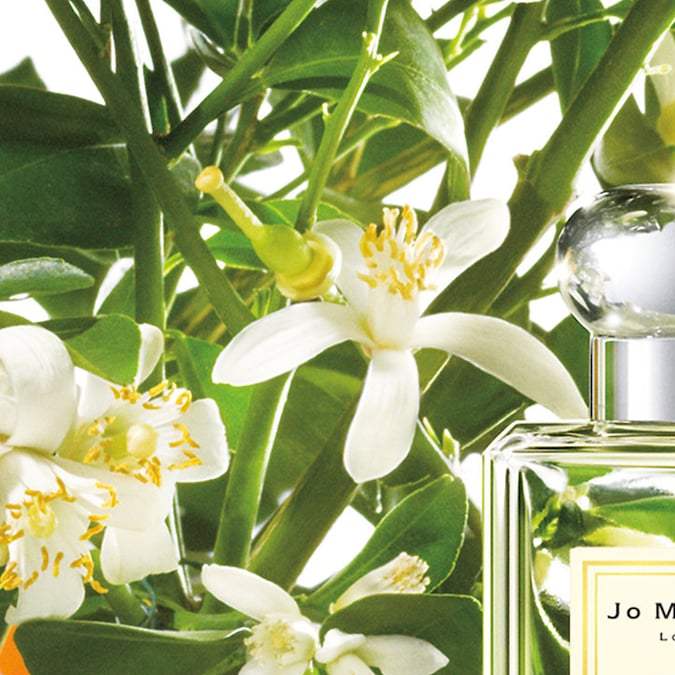 7 perfumes con notas de flor de naranja que te dejarán un aroma fresco y atractivo