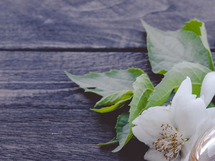 6 perfumes con notas de jazmín ideales para acompañar el estilo del ‘lujo silencioso’