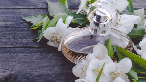 6 perfumes con notas de jazmín ideales para acompañar el estilo del ‘lujo silencioso’