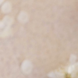 5 perfumes con notas de sándalo ideales para otoño que te dejarán un aroma muy seductor