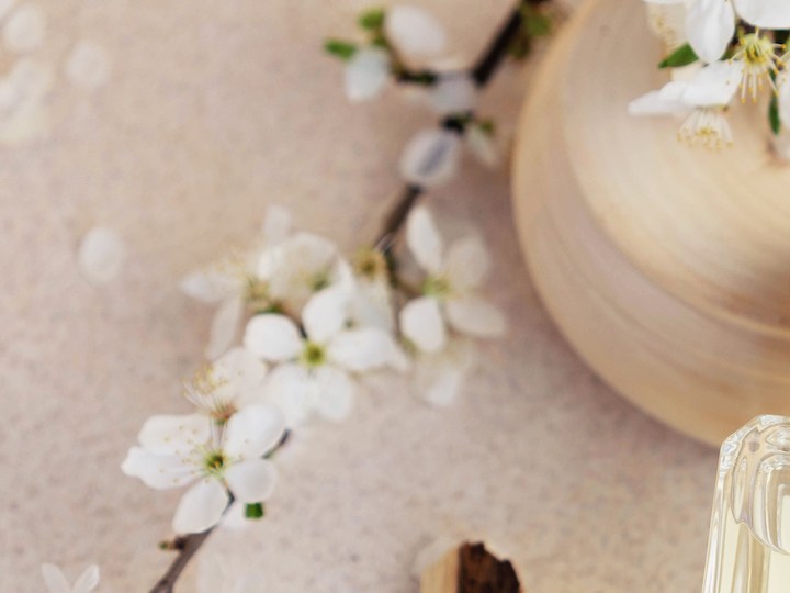 5 perfumes con notas de sándalo ideales para otoño que te dejarán un aroma muy seductor