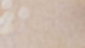 5 perfumes con notas de sándalo ideales para otoño que te dejarán un aroma muy seductor