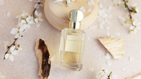 5 perfumes con notas de sándalo ideales para otoño que te dejarán un aroma muy seductor