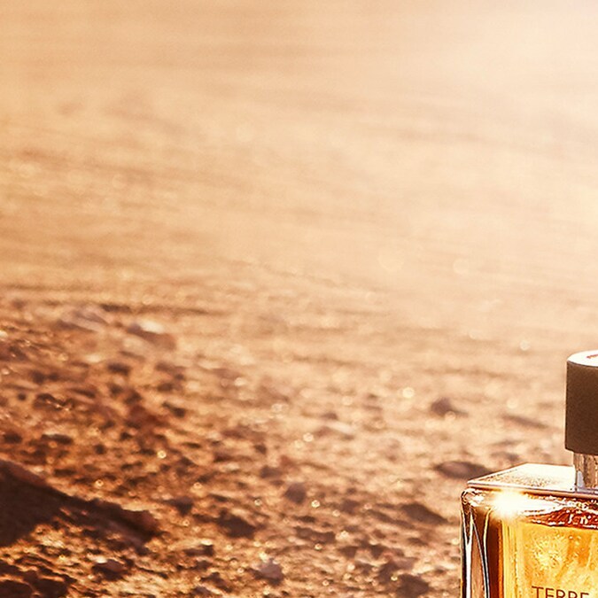 6 perfumes con notas de vetiver que te dejarán un aroma amaderado y lujoso