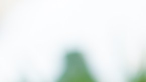 6 populares perfumes de Jo Malone que conquistan narices y corazones desde hace años