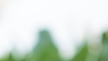 6 populares perfumes de Jo Malone que conquistan narices y corazones desde hace años