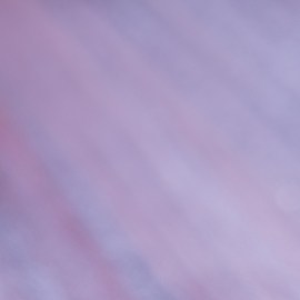 X perfumes con notas de lavanda que te dejarán un aroma sofisticado y enigmático