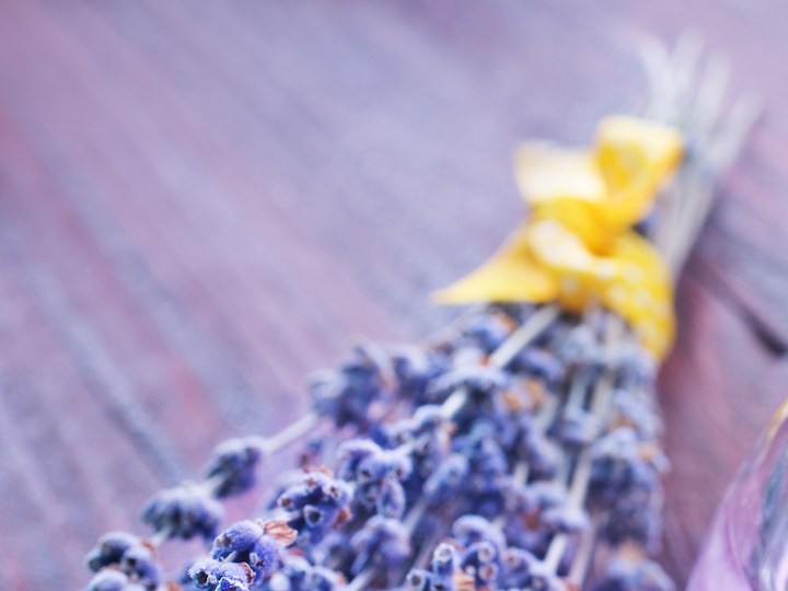 X perfumes con notas de lavanda que te dejarán un aroma sofisticado y enigmático