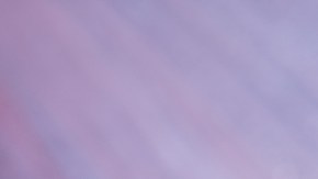 X perfumes con notas de lavanda que te dejarán un aroma sofisticado y enigmático