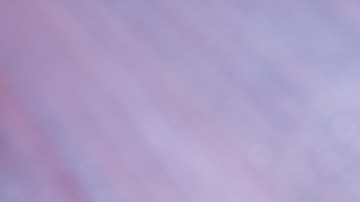 X perfumes con notas de lavanda que te dejarán un aroma sofisticado y enigmático