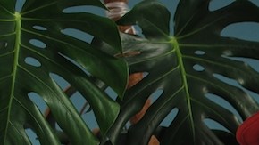 X tips para usar pantalones tipo ‘culotte’ en otoño como toda una fashionista