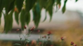 Disfraces de Halloween para bebé: 9 populares opciones en Amazon desde $10 dólares