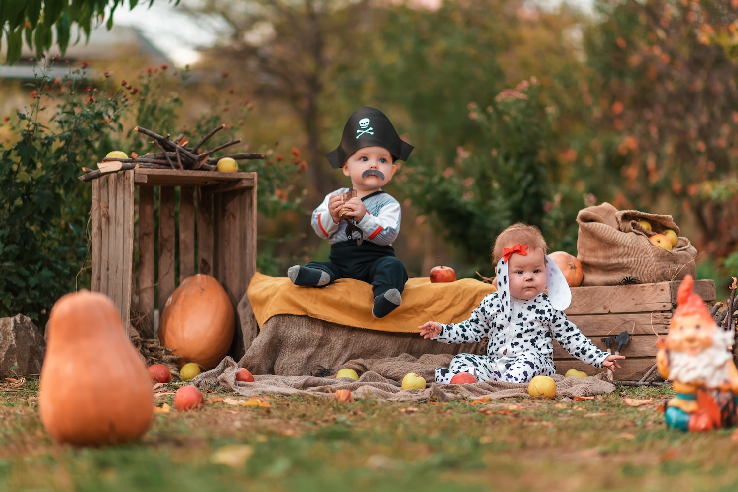 Las mejores ofertas en 9 meses Marrón Para Bebés y Niños Disfraces de  Halloween
