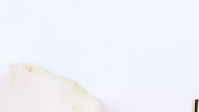 Fragancias de mujer: consejos para encontrar un perfume que refleje tu personalidad