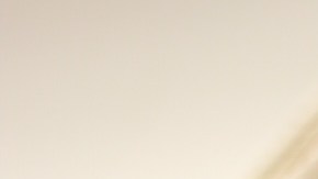 10 populares fragancias de Bath & Body Works para oler delicioso todo el año