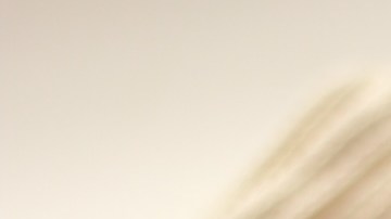 10 populares fragancias de Bath & Body Works para oler delicioso todo el año