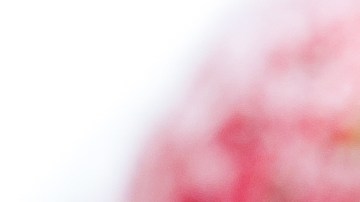 Fresas