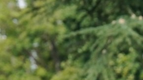 ¿Qué planes para Halloween tienen Kate Middleton, el príncipe William y sus tres hijos?