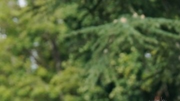 ¿Qué planes para Halloween tienen Kate Middleton, el príncipe William y sus tres hijos?