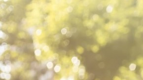 Moda en Amazon: 9 lindas y cómodas chamarras ligeras que puedes comprar desde $26 dólares