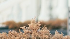 Moda en Amazon: 10 lindas faldas plus size desde $20 dólares para tus looks de otoño