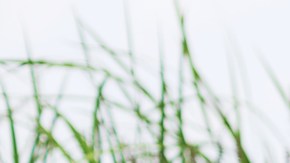 Moda en Amazon: 9 lindos vestidos envolventes para usar en otoño desde $28 dólares