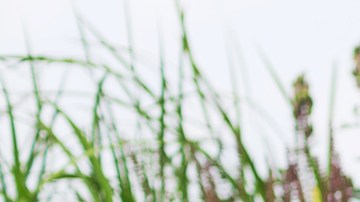 Moda en Amazon: 9 lindos vestidos envolventes para usar en otoño desde $28 dólares