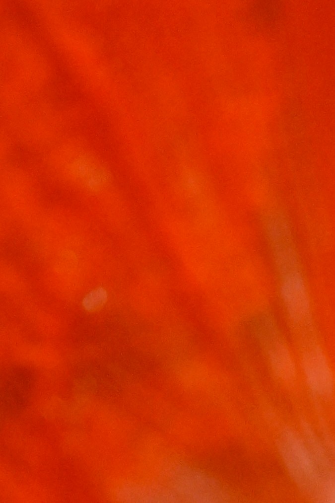 Paris Fashion Week SS24: Louis Vuitton presenta una colección aventurera y soñadora