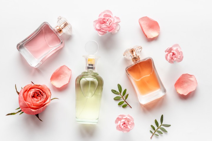 Perfume