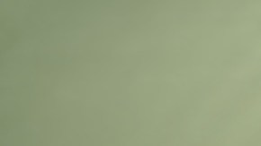 5 perfumes con notas de menta para conseguir un aroma atrevido y moderno