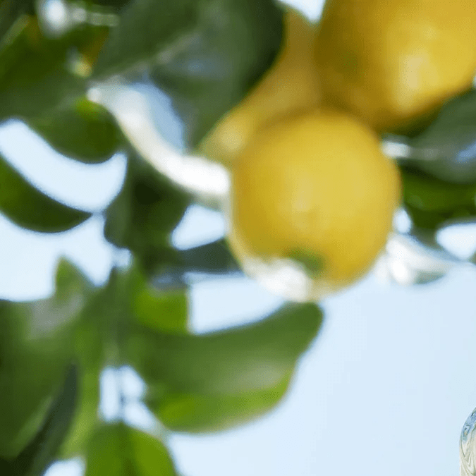 5 perfumes con notas limón verde que te dejarán un aroma fresco, ligero y unisex