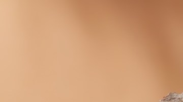 5 perfumes con notas limón verde que te dejarán un aroma fresco, ligero y unisex