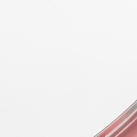 7 perfumes con notas de rosa para conseguir un aroma delicado, femenino y elegante