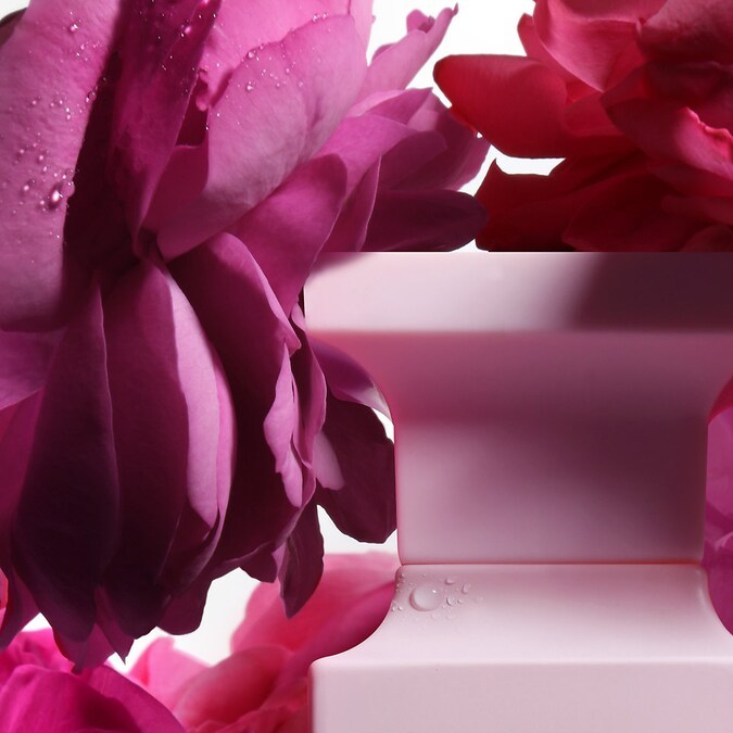 7 perfumes con notas de rosa para conseguir un aroma delicado, femenino y elegante