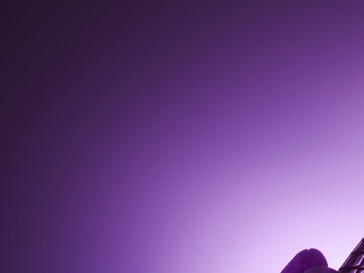 7 perfumes con notas de violeta para conseguir un aroma floral y muy romántico