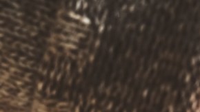 7 populares velas para otoño 2023 que dejarán un aroma cálido y delicioso en tu hogar