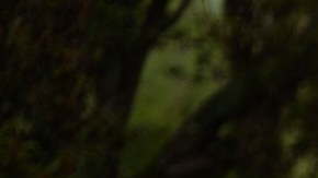 Cómo reaccionó el príncipe William al enterarse que su casa de campo está embrujada