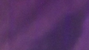 Reviven el desaire de Bad Bunny a Maite Perroni y critican al cantante en redes sociales