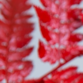 8 labiales rojos para la temporada que son buenos, populares y a un precio accesible